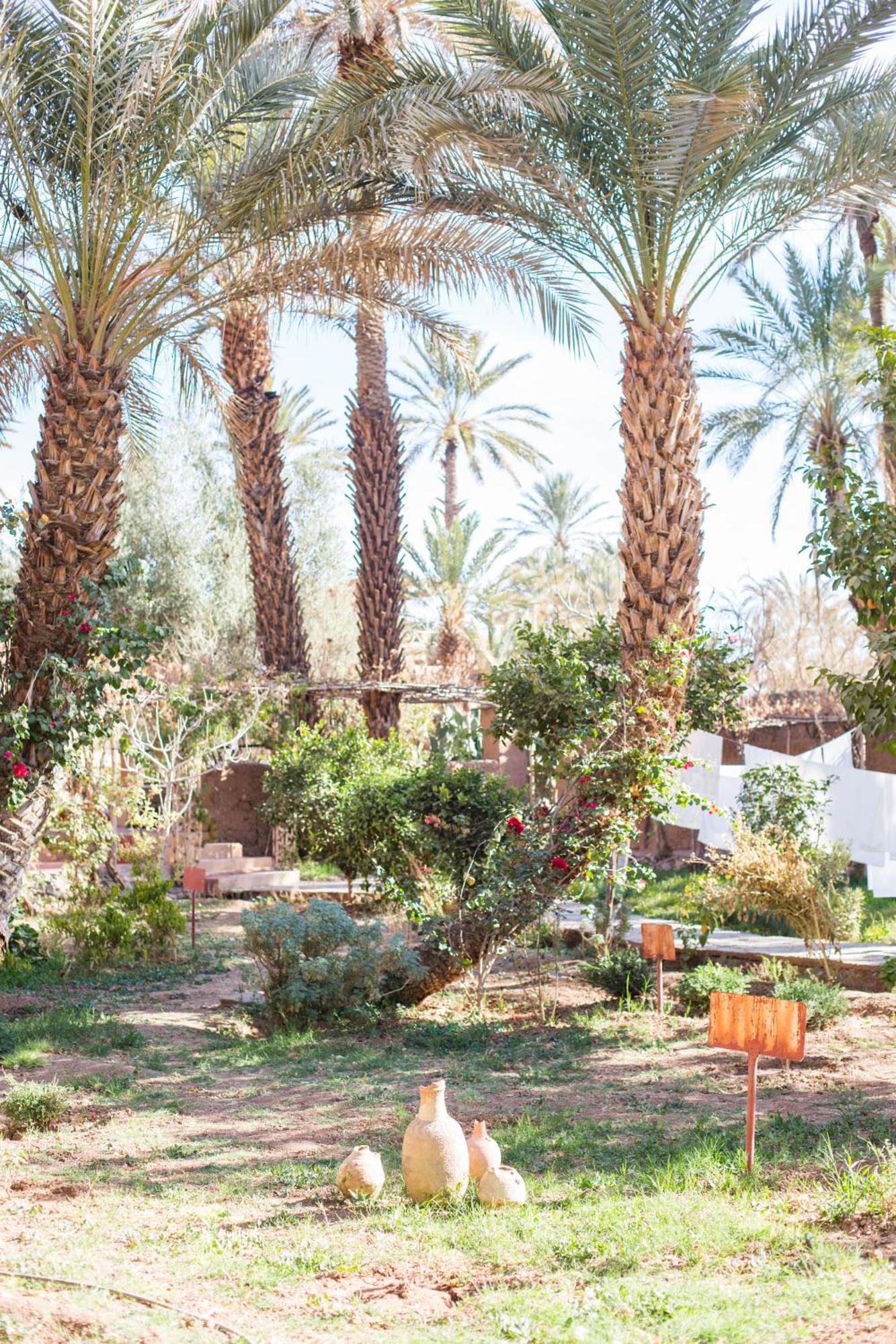 Hotel Riad Tabhirte à Agdz Extérieur photo